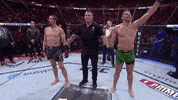 Mixed Martial Arts Sport GIF by UFC