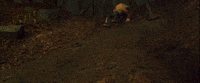 Oh No Omg GIF by LAIKA Studios
