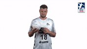 Handball-Bundesliga Ball GIF by LIQUI MOLY HBL