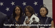 Florida GIF by GIPHY News
