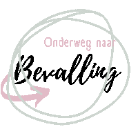 Onderweg Bevalling Sticker by VPP