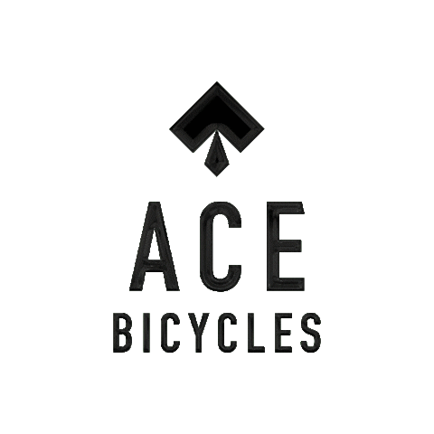 acebicycles giphyupload Sticker