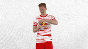 Red Bull Football GIF by RB Leipzig