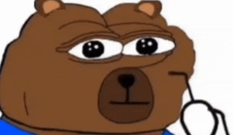 Disbelief Seriously GIF by Bear Market Memes