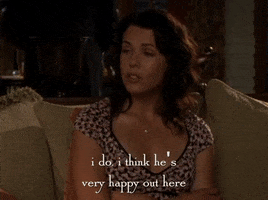 season 5 netflix GIF by Gilmore Girls 