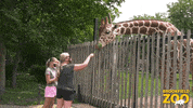 Hungry Chicago GIF by Brookfield Zoo