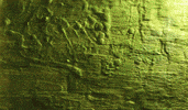 Art Fun GIF by constant