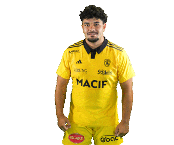 Rugby Sticker by Stade Rochelais