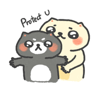 Shield Protect GIF