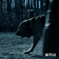 jason bateman GIF by NETFLIX