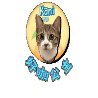 petso-llp logo orange pet line Sticker