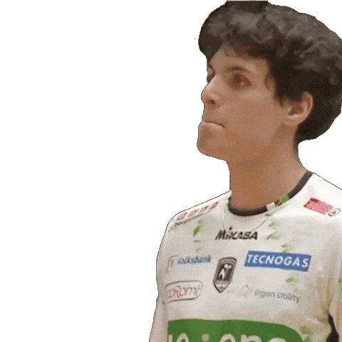 Italia Volley Sticker