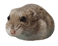 ハムスタ Sticker