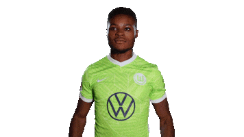 Football Swipe Up Sticker by VfL Wolfsburg