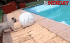 GIF by FirstAndMonday