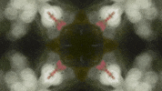 Art Love GIF by jorgemariozuleta
