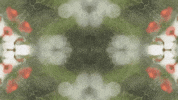 Art Love GIF by jorgemariozuleta