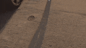 Wanderkid GIF by JW Francis