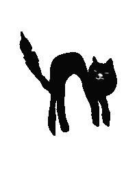 lazysuesue cat kitty pussy 고양이 Sticker