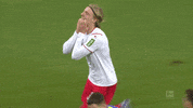 1 Fc Cologne No GIF by 1. FC Köln