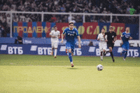 Goal Celebrate GIF by FC Dynamo Moscow