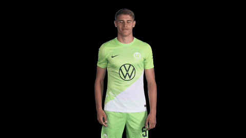 Like A Boss Deal With It GIF by VfL Wolfsburg