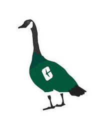 Unc Charlotte Sticker by CLT Admissions