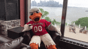 FollowStevens yes duck yup you got it GIF