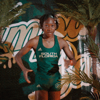 South Florida Horns Up GIF by USF Athletics