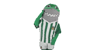 Liga Nos Football Sticker by Rio Ave Futebol Clube