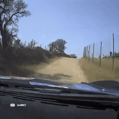 Fail Car Crash GIF by FIA World Rally Championship