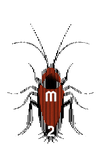 Platformat Sticker by Platforma Doma mladih