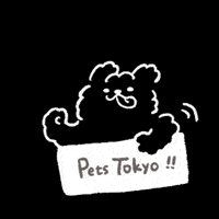 PetsTokyo かわいい 犬 いぬ わんこ GIF