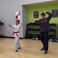 Cobra Kai Mma GIF