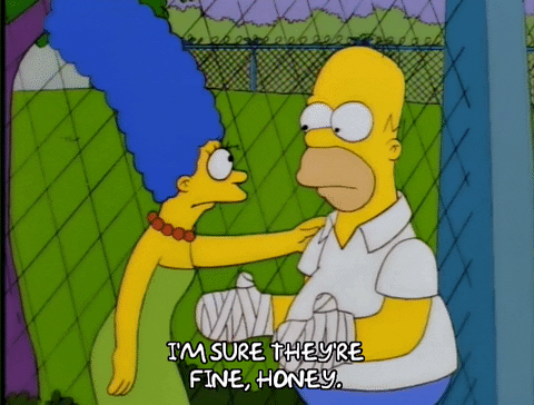 homer simpson GIF