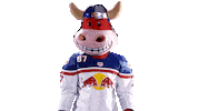 Rob Ice Hockey Sticker by EC Red Bull Salzburg