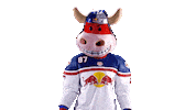 Rob Ice Hockey Sticker by EC Red Bull Salzburg