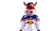 Rob Ice Hockey Sticker by EC Red Bull Salzburg