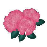 Pink Flower Sticker by bootshaustegernsee