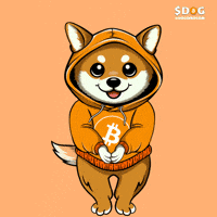 Listen Here Look At Me GIF by $DOG