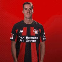 I Love You Heart GIF by Bayer 04 Leverkusen