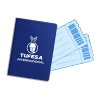 Travel Mexico Sticker by Autotransportes Tufesa