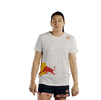 Sport Handball Sticker by Red Bull