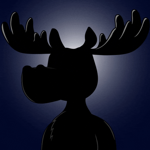 DoYouMoose web3 anonymous moose collector GIF