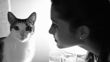 Kiss Rejected GIF