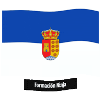 Comunidad De Madrid Flag Sticker by Formación Ninja