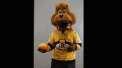 BdnWheatKings kings brandon willie wheat GIF