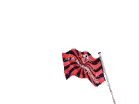 CV_DeNeutenkrakers carnaval neut klarenbeek neutenkrakers Sticker