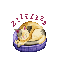 mehrisena cat night sleep sleepy Sticker