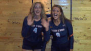 cnvb 2018cnvb GIF by Carson-Newman Athletics